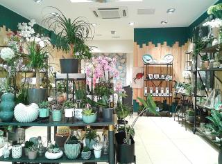 Fleuriste Tendances végétales 0