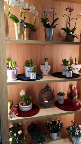 Fleuriste Créateur de bonheur 0