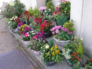 Fleuriste Floréal 1