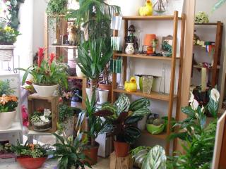 Fleuriste Floréal 2