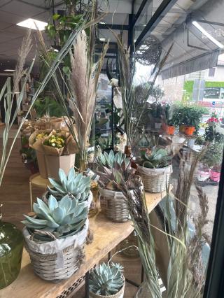 Fleuriste Fleur & Apparence 0