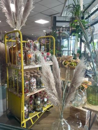 Fleuriste Fleur & Apparence 0