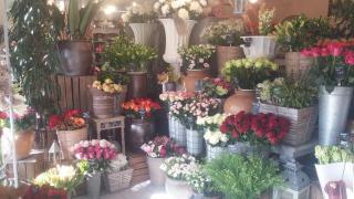 Fleuriste Fleurs & Nature by Verson 0