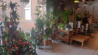 Fleuriste Au Quai des fleurs 0