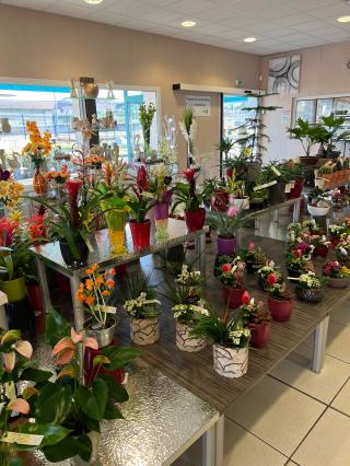 Fleuriste Fleurs 2000 0