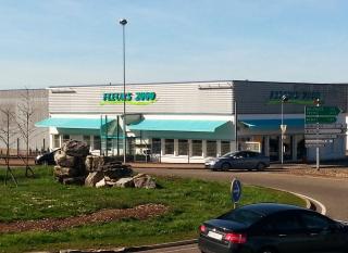 Fleuriste Fleurs 2000 0