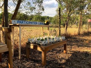 Fleuriste Jardins élevant 1