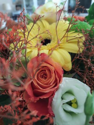 Fleuriste LES FLEURS DU NIL 0