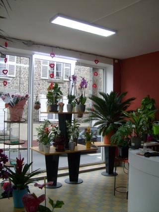 Fleuriste Montjoffre Jean-Yves AHUN 1