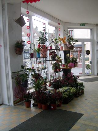 Fleuriste Montjoffre Jean-Yves AHUN 0