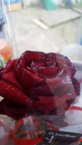 Fleuriste O'Bouquet 0