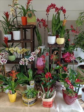 Fleuriste Art floral 0