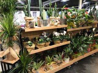 Fleuriste Histoire de Fleurs 0