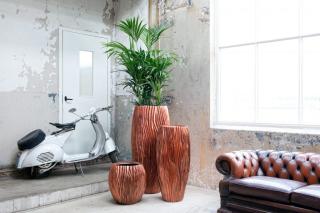 Fleuriste GREEN & GREEN : Contrat d'Entretien et Location de Plantes Mur Végétal et Floral Bouquets d'Accueil 0