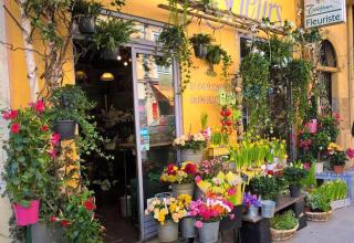 Fleuriste Azur Fleurs 0