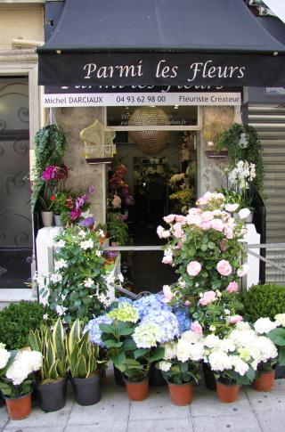 Fleuriste PARMI LES FLEURS 0