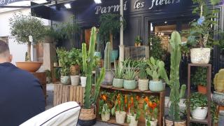 Fleuriste Parmi les fleurs - Longchamp 0