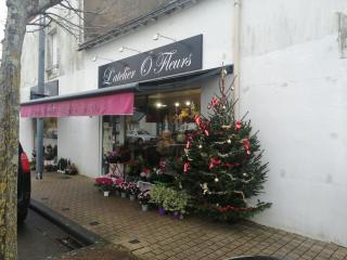 Fleuriste L'Atelier Ô Fleurs 0