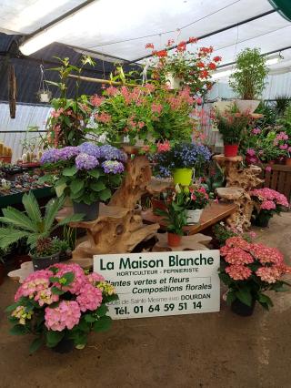 Fleuriste Pépinière La Maison Blanche Veillon Mickael 1