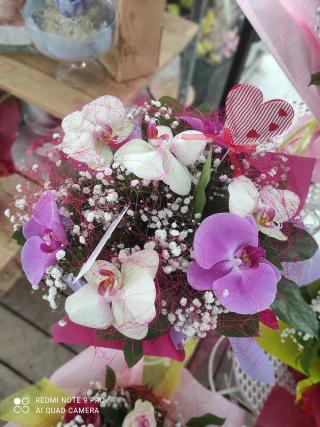 Fleuriste Pépinière La Maison Blanche Veillon Mickael 0