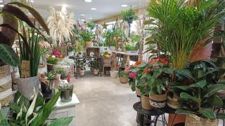 Fleuriste Les fleurs de Cinderella 1