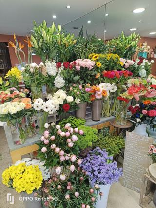 Fleuriste Les fleurs de Cinderella 0