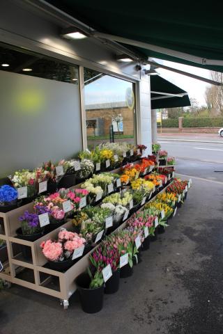 Fleuriste Le Jardin des Fleurs 0