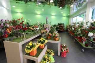Fleuriste Le Jardin des Fleurs 0