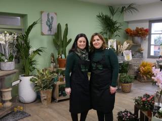 Fleuriste Vert'Tige 0