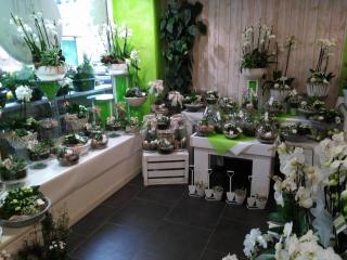 Fleuriste Le Marché aux Fleurs 1