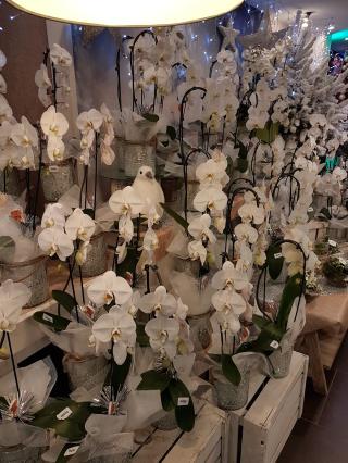 Fleuriste Le Marché aux Fleurs 0