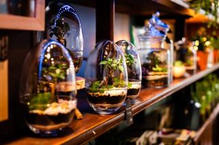 Fleuriste Jungle Glass 1