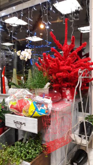 Fleuriste Nandina Fleurs 0