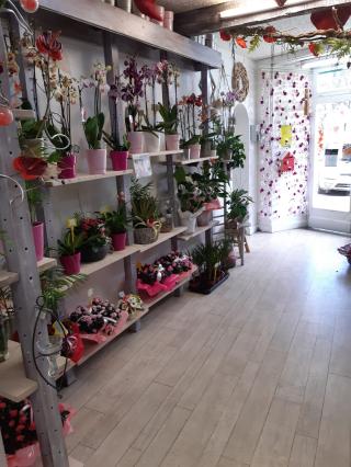 Fleuriste Aux Bruyères Lorraine LACAM 1