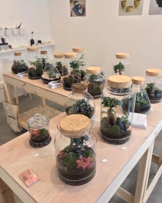 Fleuriste Microcosme - Boutique décoration et cadeaux 0