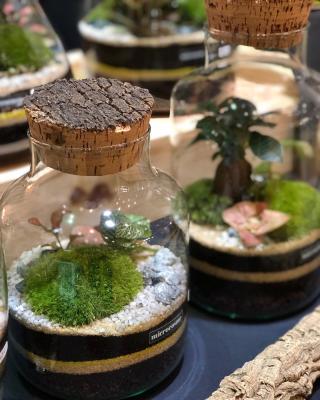 Fleuriste Microcosme - Boutique décoration et cadeaux 0