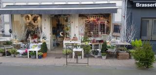 Fleuriste LA ROSE D'HASTINGS 0