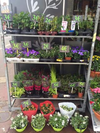 Fleuriste Ambiance Fleurs 0