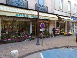 Fleuriste BORIE FLEURS 0