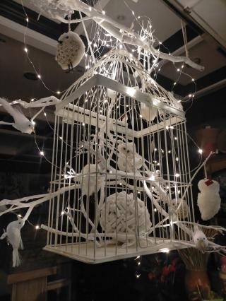 Fleuriste Acanthe Fleurs 0