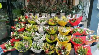 Fleuriste Fleurs De Jade 0