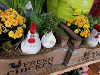 Fleuriste Après la pluie... 0