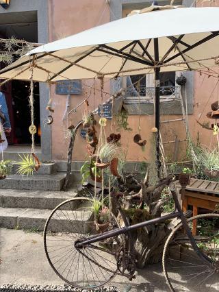 Fleuriste Na Dour, Na Douar 0