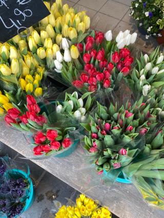 Fleuriste Floréal 0