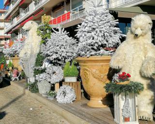 Fleuriste Roni Fleurs - Cagnes sur Mer bd Kennedy 0