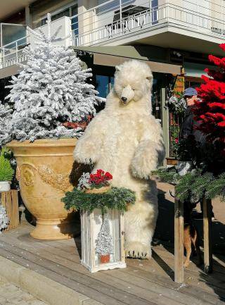 Fleuriste Roni Fleurs - Cagnes sur Mer bd Kennedy 0