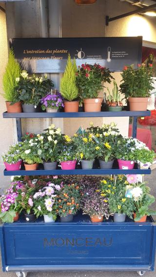 Fleuriste Monceau Fleurs 0