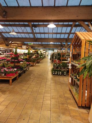 Fleuriste botanic® Dijon 1