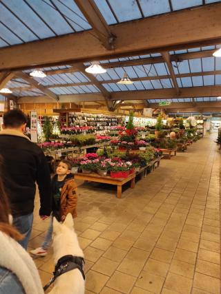 Fleuriste botanic® Dijon 0