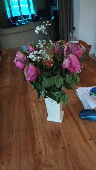 Fleuriste Monceau Fleurs 0